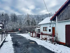 Prodej rodinného domu, Životice u Nového Jičína, 100 m2