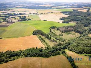 Prodej lesa, Zvěstov, 45954 m2