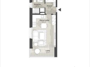 Prodej bytu 1+kk, Liberec, Polní, 34 m2