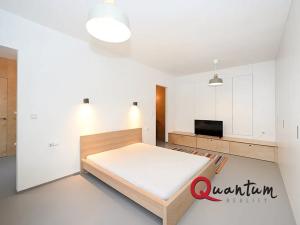 Pronájem bytu 2+kk, Praha - Holešovice, U průhonu, 54 m2