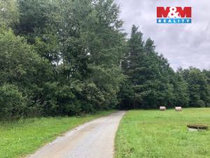 Prodej rybníku, Dvory nad Lužnicí, 8649 m2