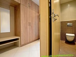 Pronájem bytu 1+kk, Praha - Žižkov, Olšanská, 33 m2