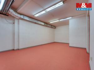 Pronájem skladu, Plzeň, Sousedská, 47 m2