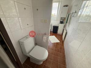 Prodej bytu 2+1, České Budějovice, L. M. Pařízka, 53 m2