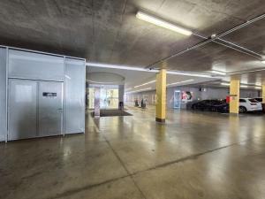 Pronájem kanceláře, Brno - Žabovřesky, Veveří, 50 m2