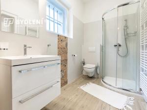 Pronájem bytu 5+1, Teplice, Doubravská, 131 m2