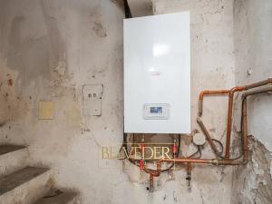 Prodej rodinného domu, Bořislav, 195 m2