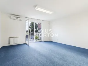 Prodej rodinného domu, Roudnice nad Labem, Dr. Slavíka, 300 m2