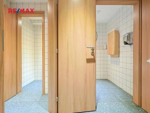 Pronájem obchodního prostoru, Plzeň, Americká, 210 m2