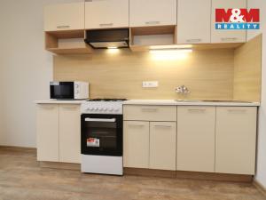 Pronájem bytu 2+1, Ostrov, S. K. Neumanna, 70 m2