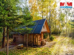 Pronájem louky, Vysočina - Možděnice, 5500 m2