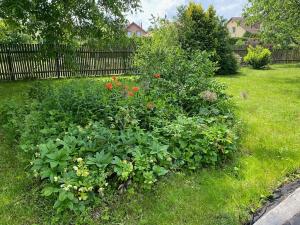 Prodej chaty, Svojetice, Kamenická, 70 m2