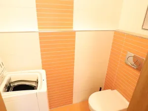 Pronájem bytu 1+kk, Praha - Hloubětín, Nademlejnská, 33 m2