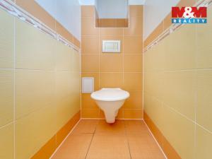 Pronájem bytu 3+1, Plzeň - Východní Předměstí, Částkova, 77 m2