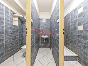 Pronájem obchodního prostoru, Praha - Vinohrady, Vinohradská, 75 m2