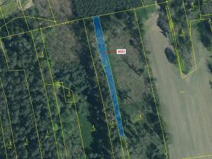 Dražba lesa, Koloveč, 703 m2