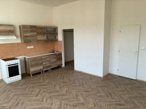 Pronájem bytu 1+1, Kladno, T. G. Masaryka, 66 m2