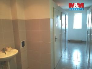 Pronájem komerční nemovitosti, Strančice, Průmyslová, 270 m2