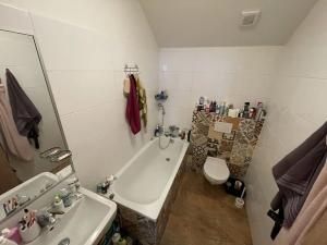 Pronájem bytu 2+1, Brno, Stará, 48 m2