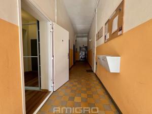 Pronájem bytu 1+1, Brno, Jugoslávská, 49 m2