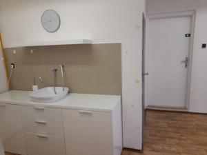 Pronájem bytu 1+1, Olomouc, Smetanova, 45 m2