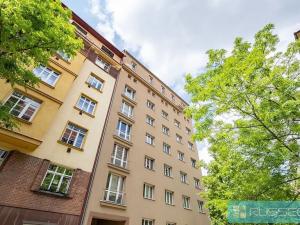 Pronájem bytu 1+1, Brno, Čápkova, 58 m2