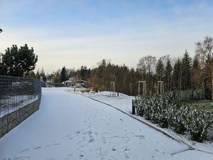 Pronájem bytu 1+kk, Jablonec nad Nisou, Krkonošská, 62 m2