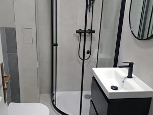 Pronájem bytu 1+1, Praha - Vinohrady, Velehradská, 43 m2