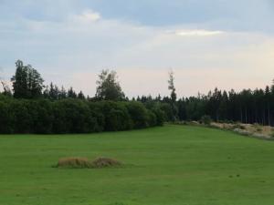 Dražba pole, Počátky, 11945 m2