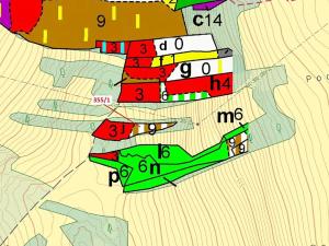 Dražba lesa, Újezd u Plánice, 2439 m2