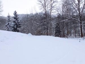 Prodej pozemku, Dlouhý Most, 8531 m2
