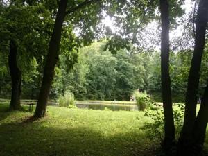 Prodej komerčního pozemku, Říčany, 12257 m2