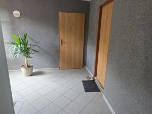 Pronájem bytu 1+1, Česká Lípa, 45 m2