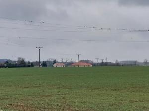 Prodej pole, Podluhy, 25484 m2