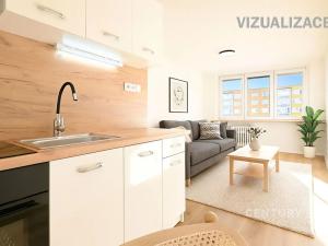 Pronájem bytu 2+kk, Most, Josefa Ševčíka, 40 m2