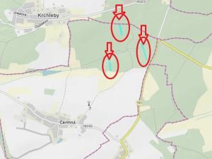 Prodej lesa, Čermná, 9742 m2