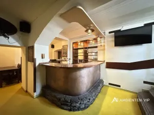 Pronájem restaurace, Brno, Veveří, 102 m2
