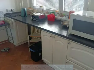 Pronájem pokoje, Praha - Hlubočepy, Geologická, 18 m2