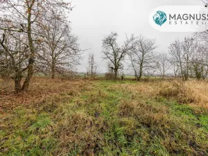 Prodej pozemku, Libina, 7132 m2