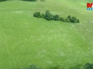 Prodej louky, Štramberk, 4766 m2