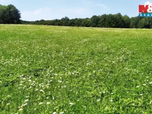 Prodej louky, Štramberk, 4766 m2