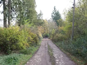 Prodej pozemku pro bydlení, Nespeky, 7717 m2