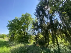 Prodej lesa, Kropáčova Vrutice - Sušno, 15167 m2