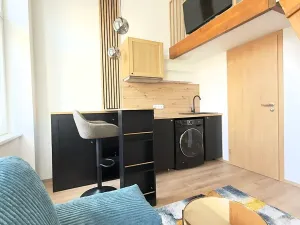 Pronájem bytu 1+kk, Praha - Nové Město, Sokolská, 17 m2