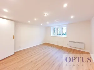 Pronájem bytu 1+kk, Praha - Podolí, Levá, 25 m2