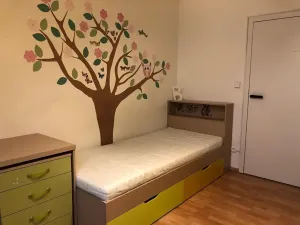 Pronájem rodinného domu, Sokolnice, Slanisko, 150 m2