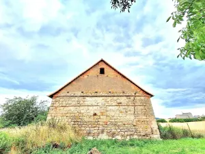 Prodej zemědělské usedlosti, Kolešov, 500 m2