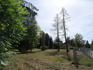 Prodej pozemku pro bydlení, Mukařov, Školní, 800 m2