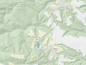 Dražba lesa, Dobřeň, 6871 m2