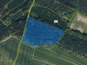 Dražba lesa, Olešnice, 15106 m2